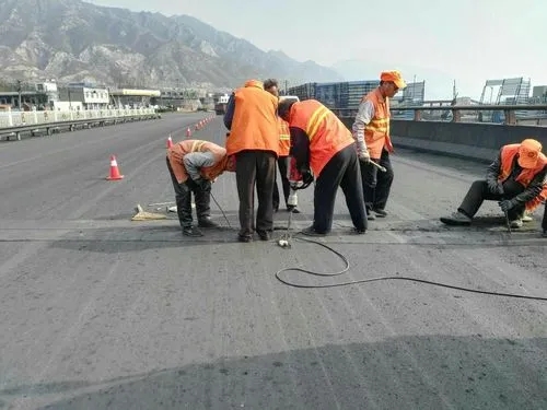 南充道路桥梁病害治理